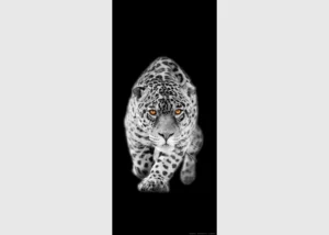 Vliesová fototapeta na zed' Levhart | 202 x 90 cm | FTNV 2897 - Obrázek 2