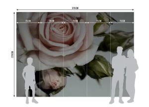 Fototapeta Růže | Vliesová fototapeta na zed' | 360 x 270 cm | FTNXXL 0313 - Obrázek 5