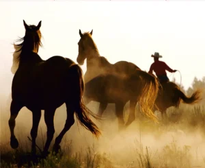 Wall Mural Wild Horses, Premium Non-woven Wallpaper, 360 x 270 cm, FTNXXL 0390 - Image 2