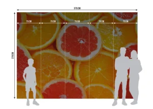 Fototapeta Citrusy | Vliesová fototapeta na zed' | 375 x 270 cm | FTNXXL 0413 - Obrázek 5