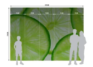Fototapeta Limetka | Vliesová fototapeta na zed' | 375 x 270 cm | FTNXXL 0440 - Obrázek 5