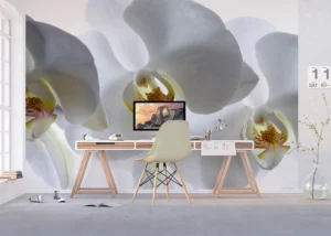 Fototapeta Bílá Orchidej | Vliesová fototapeta na zed' | 360 x 270 cm | FTNXXL 0466 - Obrázek 3