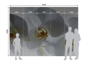 Fototapeta Bílá Orchidej | Vliesová fototapeta na zed' | 360 x 270 cm | FTNXXL 0466 - Obrázek 5