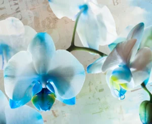 Wall Mural Blue Flowers, Premium Non-woven Wallpaper, 360 x 270 cm, FTNXXL 1144 - Image 2