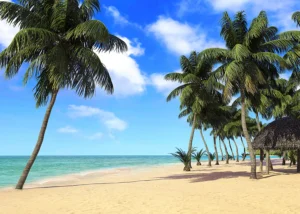 Wall Mural Palm Beach, 375 x 270 cm, FTNXXL 1234 - Obrázek 2