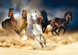 Wall Mural Horses, 375 x 270 cm, FTNXXL 1239 - Image 2