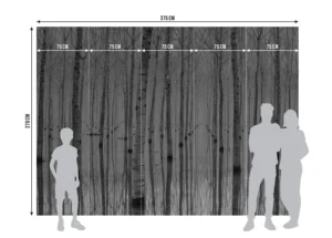 Wall Mural Birch Reflection, 375 x 270 cm, FTNXXL 3004 - Obrázek 7