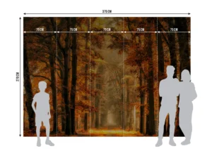 Fototapeta Podzimní Cesta | Vliesová fototapeta na zed' | 375 x 270 cm | FTNXXL 3009 - Obrázek 7