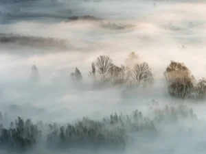 Wall Mural Misty Morning, Premium Non-woven Wallpaper, 375 x 270 cm, FTNXXL 3010 - Image 2
