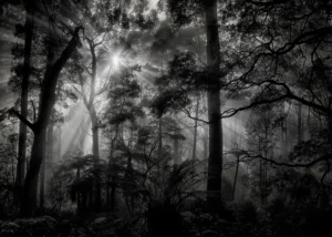 Wall Mural Monochrome Forest, 375 x 270 cm, FTNXXL 3027 - Image 2
