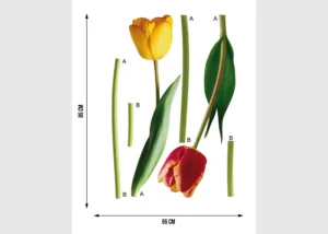 Samolepka na zeď Tulipány | 65 x 85 cm | F 0401 - Obrázek 4