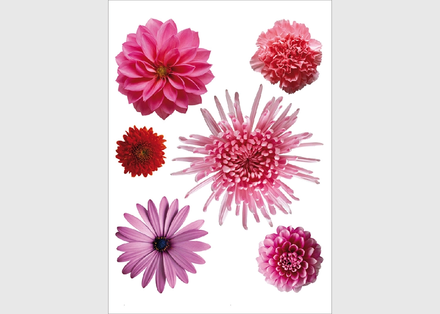 F_0406-1.webp Wall Stickers Flowers, 65 x 85 cm, F 0406