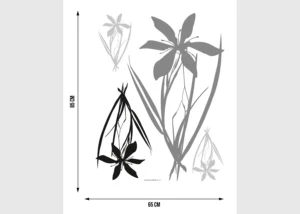 Wall Stickers Black Grey Flora, 65 x 85 cm, F 0443 - Obrázek 5