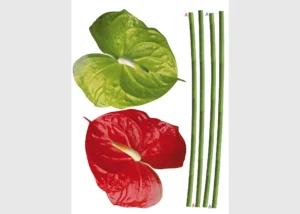 Samolepka na zeď Anturie | 65 x 85 cm | F 0449