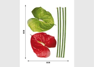 Samolepka na zeď Anturie | 65 x 85 cm | F 0449 - Obrázek 2