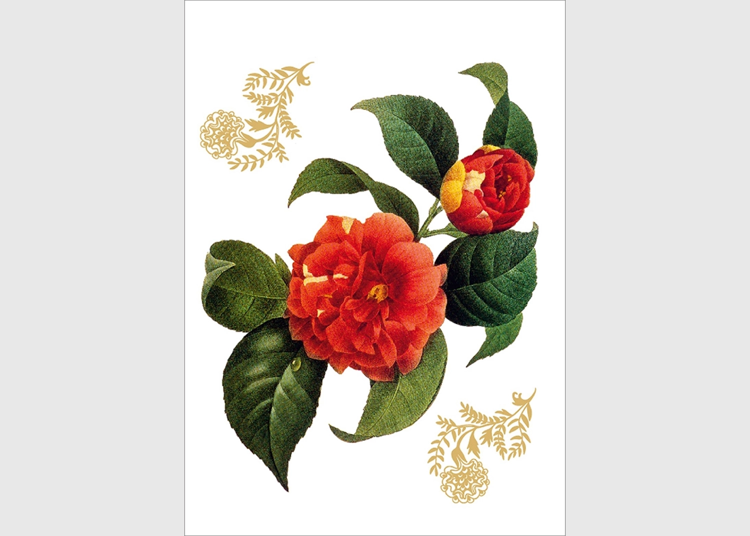 F_0457-1.webp Wall Stickers Red Flower with Golden Elements, 65 x 85 cm, F 0457