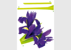 Wall Stickers Violets | 65 x 85 cm | FL 0464