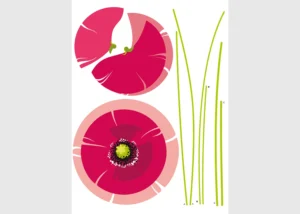 Samolepka na zeď Velký Mák | 65 x 85 cm | F 0470