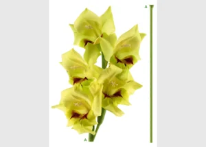 Wall Stickers Yellow Orchid | 65 x 85 cm | F 0473