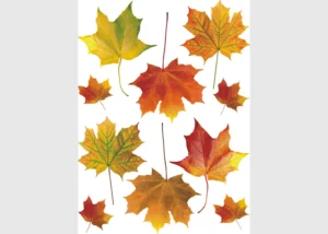 Samolepka na zeď Javorové Listy | 65 x 85 cm | FL 1020