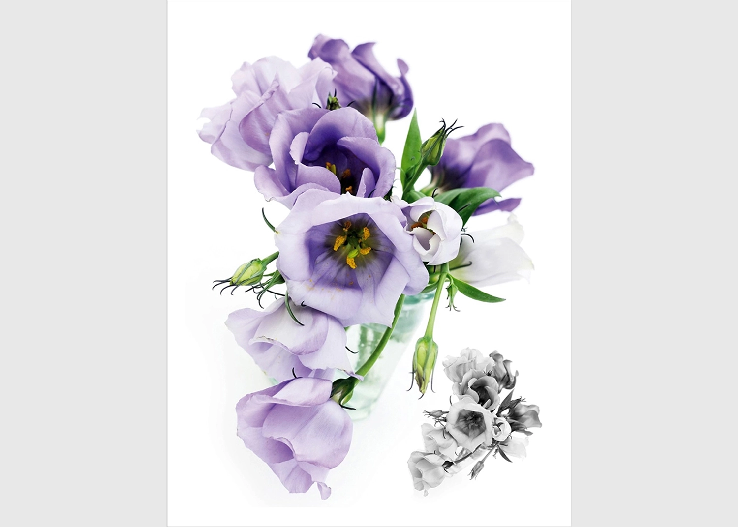 F_1029-1.webp Wall Stickers Flowers, 65 x 85 cm, F 1029