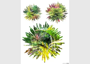 Wall Stickers Jungle Flowers | 65 x 85 cm | F 1053