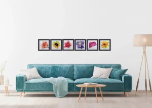 Wall Stickers Multiframe, 65 x 85 cm, F 1059 - Image 2