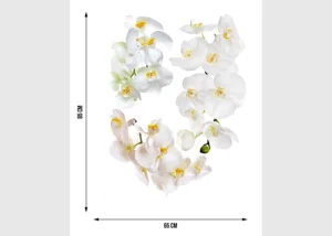 Samolepka na zeď Květy Orchideje | 65 x 85 cm | F 1068 - Obrázek 4