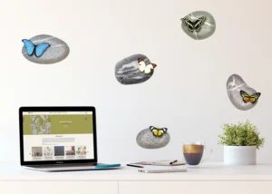 Samolepka na zeď Motýly na Kamenech | 30 x 30 cm | SS 3853 - Obrázek 2