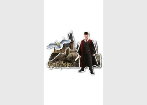 Samolepka Harry Potter, 8.5 x 15 cm, VS 2183