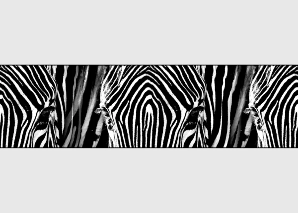 Wall Border Safari Stripes | 5 m x 13.8 cm | WB 8205