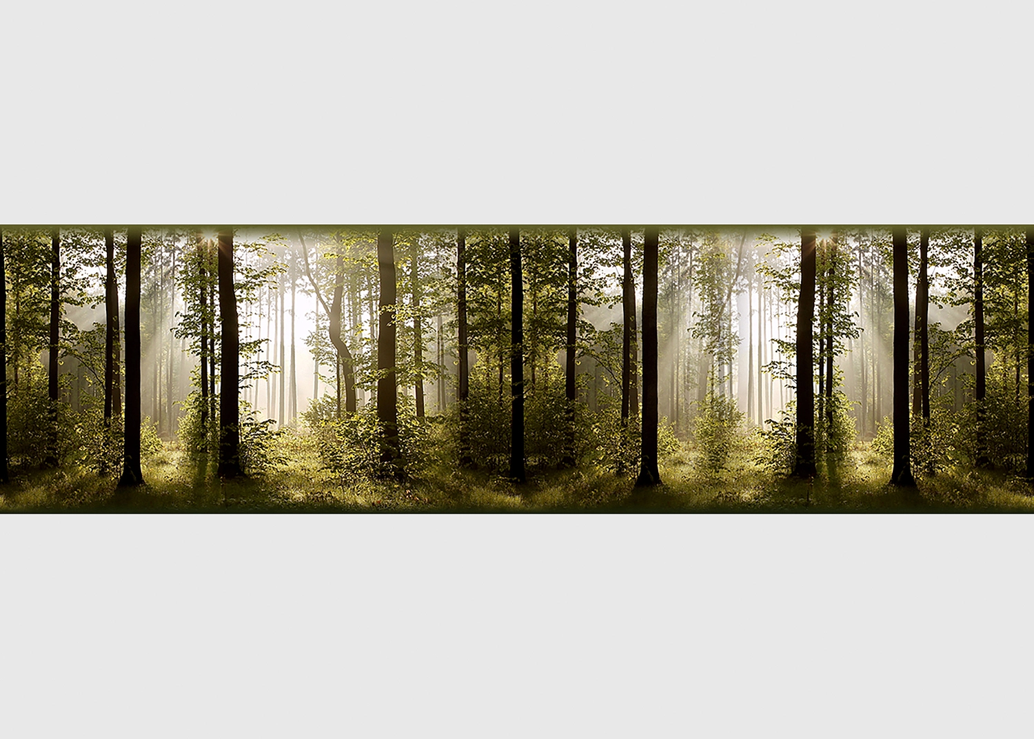 WB_8214-1.webp Wall Border Morning Forest | 5 m x 13.8 cm | WB 8214
