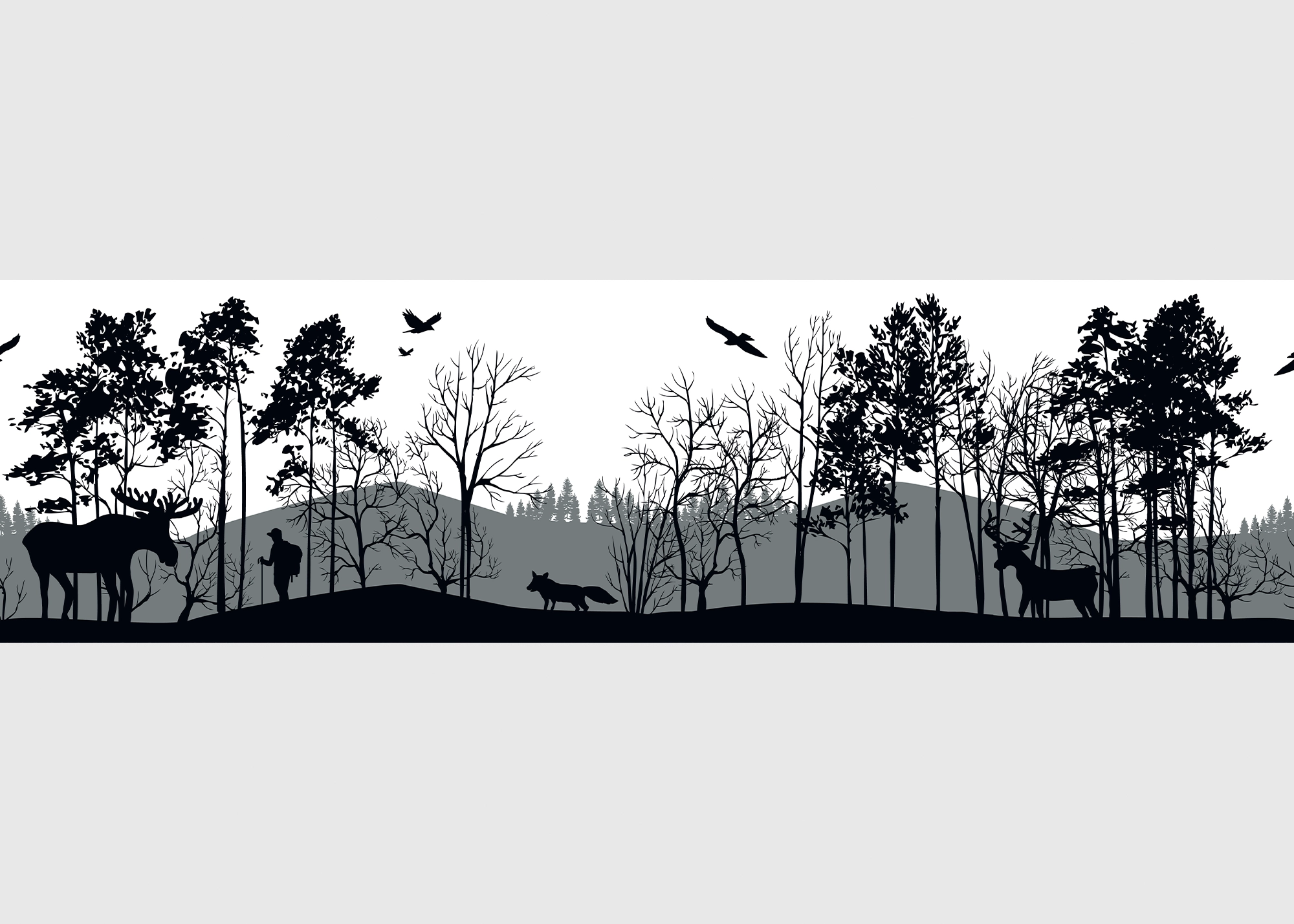 WB_8269 Wall Border Forest Silhouette | 5 m x 13.8 cm | WB 8269