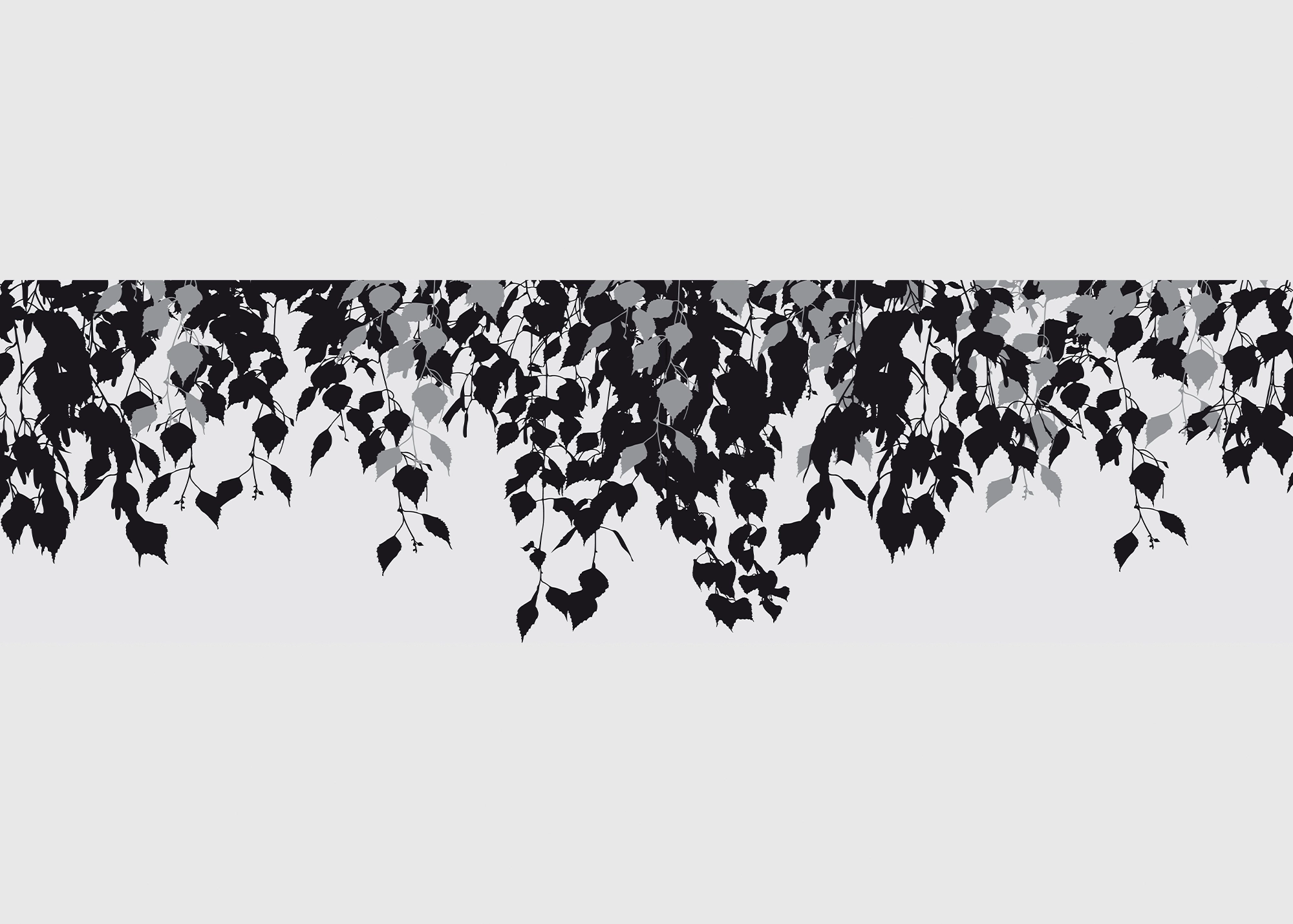 WB_8277 Wall Border Foliage Shadows | 5 m x 13.8 cm | WB 8277