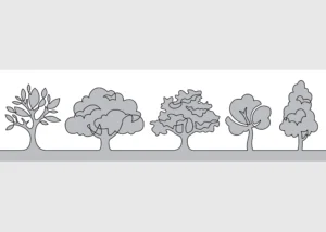 Wall Border Grey Tree Calligraphy | 5 m x 13.8 cm | WB 8279